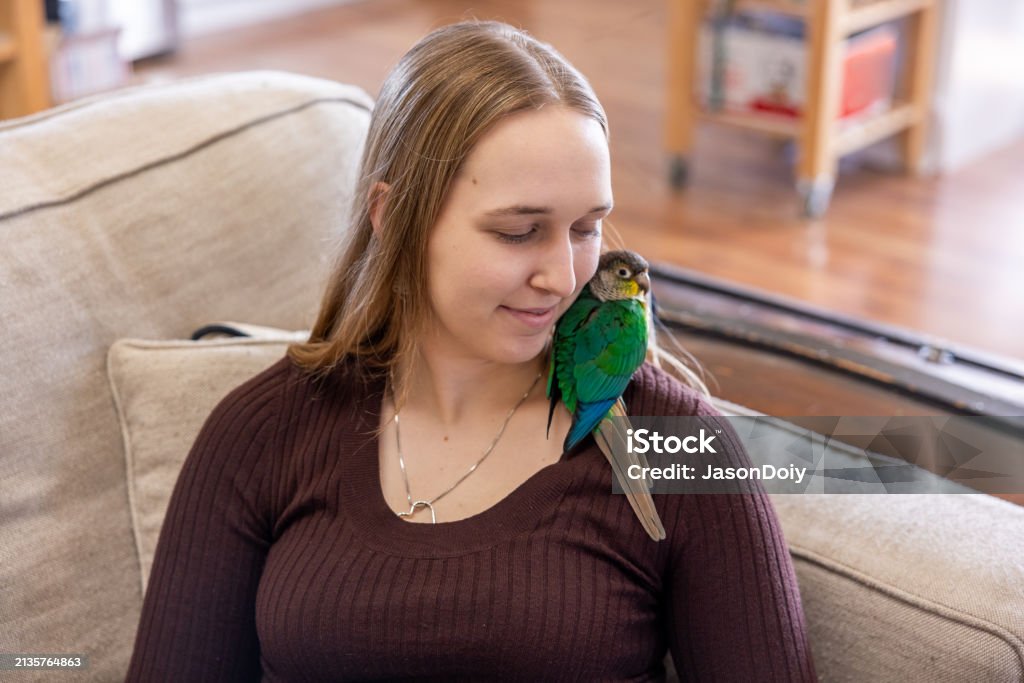 Variodor Alize Premium Fishbone Cosmic Gray