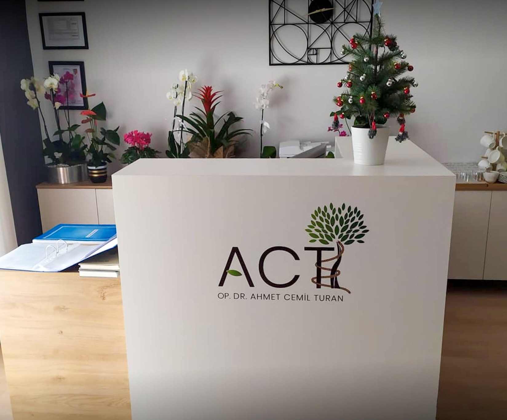 Home Renovation and Decoration